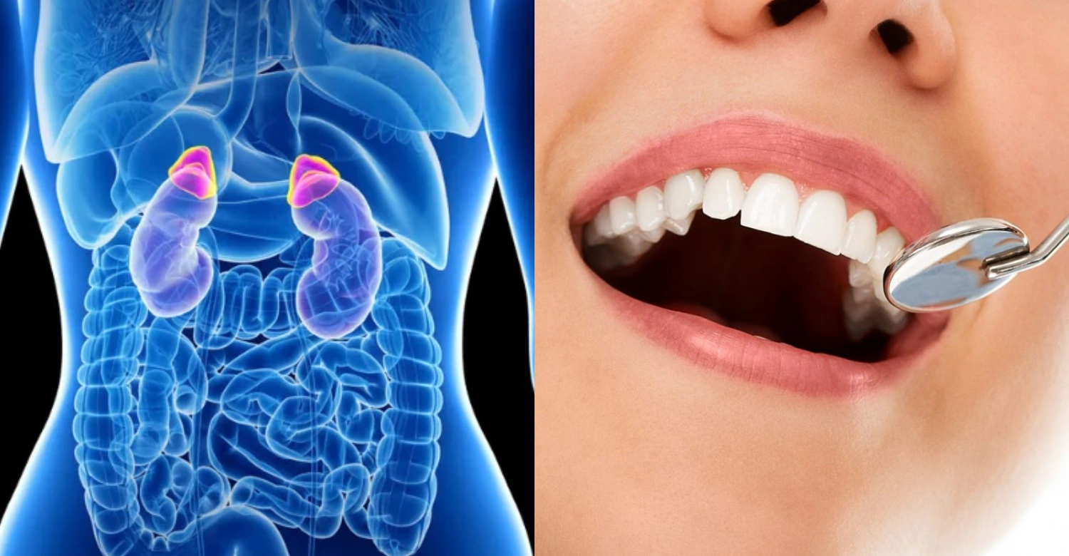 Cortisol and Oral Health Inblog